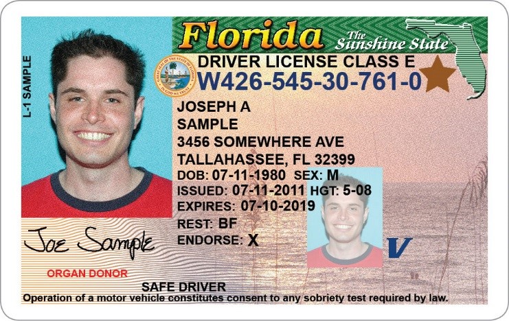 florida drivers license template free download