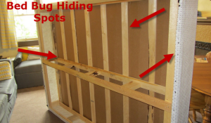 bed bug hiding spots