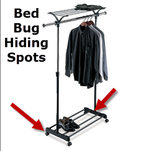 bed bugs in coat racks