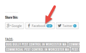 bug bully pest control facebook shares