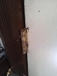 bed bugs around the door hinges